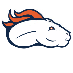 Denver Broncos Fat Logo iron on transfers